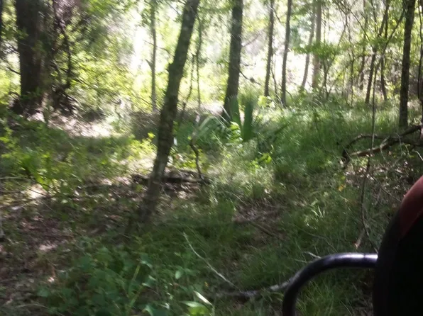 Kathys Cv, Walker, LA 70785