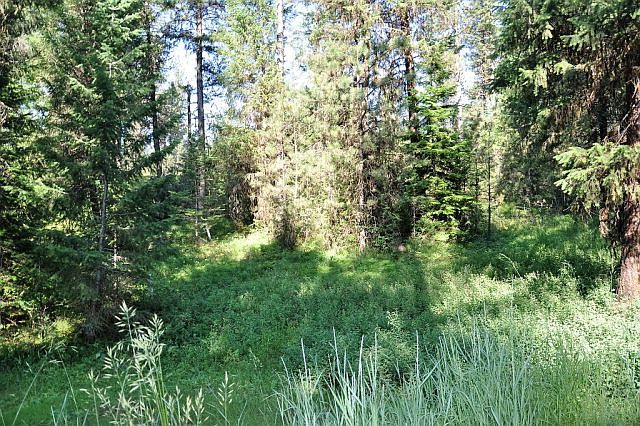 2nd image of 2921 Kimberland Dr