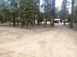 1344 Merzville Rd, Forest Lakes, AZ 85931