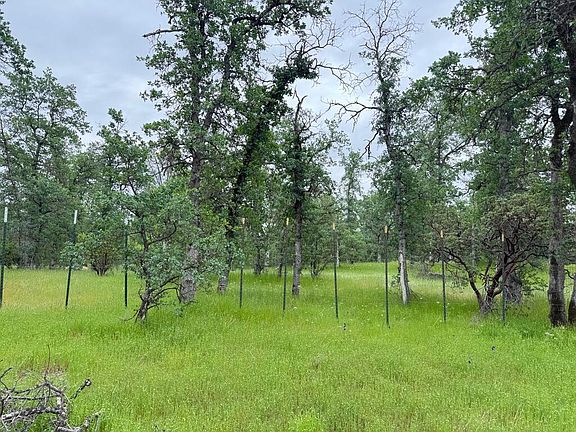 3rd image of 2 Two Feathers Rd