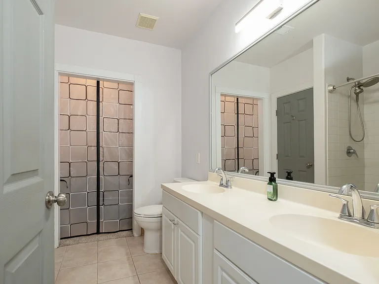 Master Bathroom (Walk-in Closet in the back)
