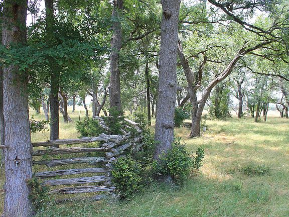 5th image of 9725 County Road 272