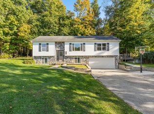 6927 Forestview Trl, Saranac, MI 48881