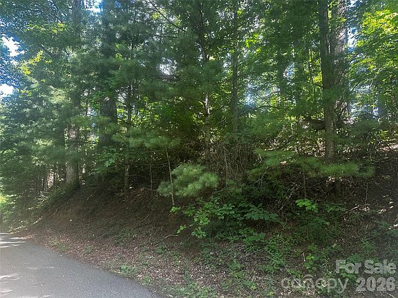 5th image of 0 Ashland Mountain Rd