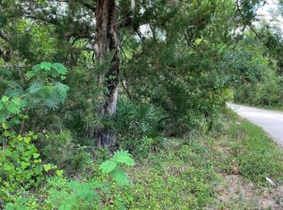 540 Ranchette Rd, New Smyrna Beach, FL 32168