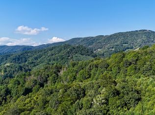 343 Ralph Wilson Rd, Vilas, NC 28692