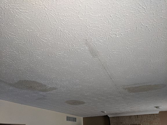 5th image of 49 Bending Oak Dr