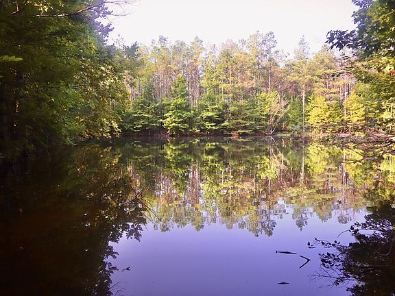 5th image of 123 County Road 203