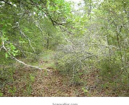3rd image of 0 Cedar Dr