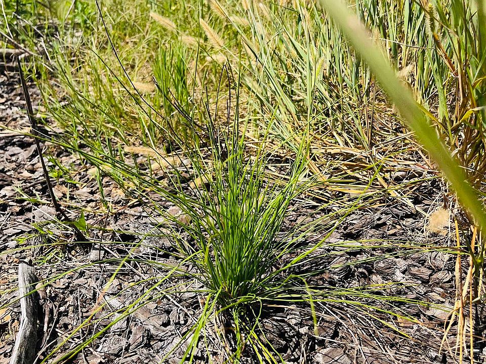 0 Mims Rd, Byromville, GA 31007 MLS 20149002 Zillow