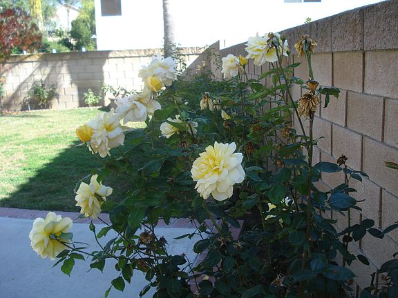4th image of 15241 Calle Lomita