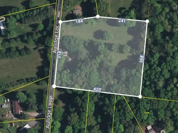 259 Aulidge Loop, White Bluff, TN 37187