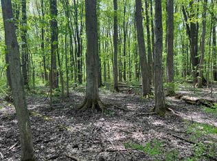 0 Pilgrimport Rd, Lyons, NY 14489