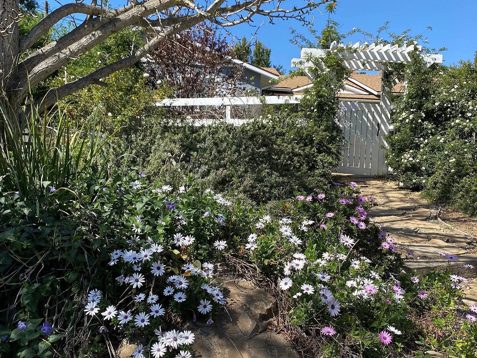 Los Encinos Road, Ojai — Photo 4