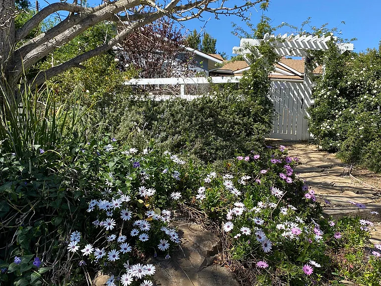 2061 Los Encinos Rd — Photo 4