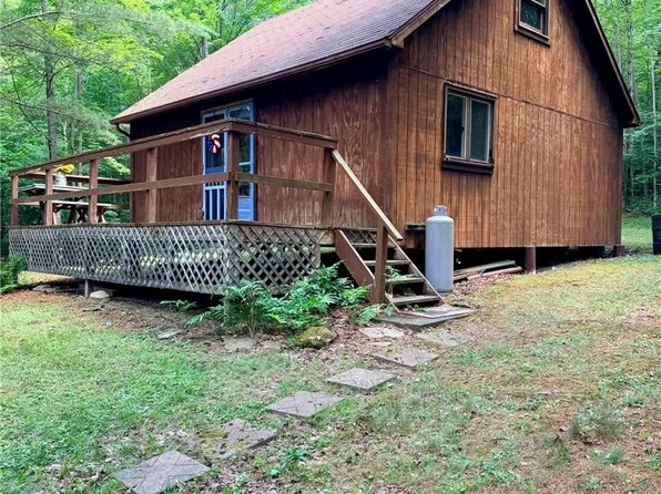 1667 Coon Hollow Rd Lot 55, Beaver Dams, NY 14812