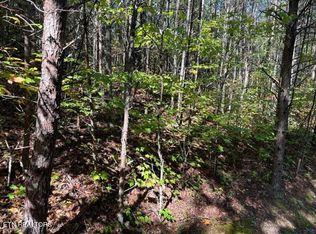 Stonegate Way, Townsend, TN 37882