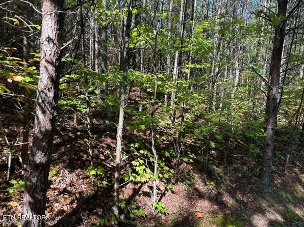 Stonegate Way, Townsend, TN 37882