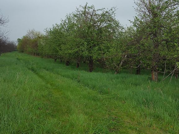 3rd image of CO Road 374