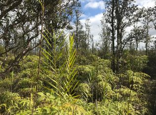 Road 4 Kea #IO, Mountain View, HI 96771