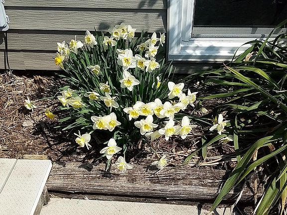4th image of 7350 Jasmine Dr