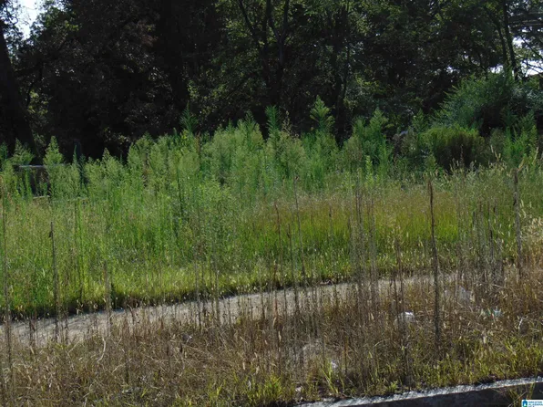 1120 30th St N #2-1&, Birmingham, AL 35234