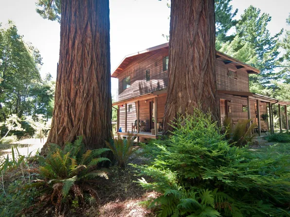 10985 Dyerville Loop Rd, Myers Flat, CA 95554