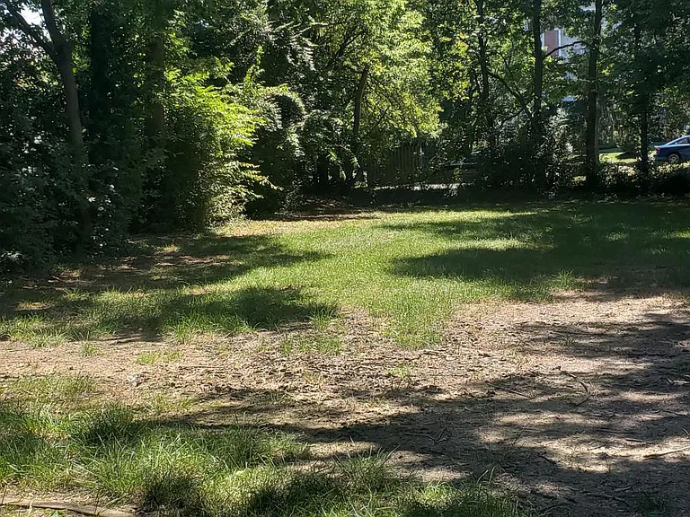 backyard (not fully fenced)
