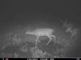 11825 Sinking Spring Rd, Hillsboro, OH 45133