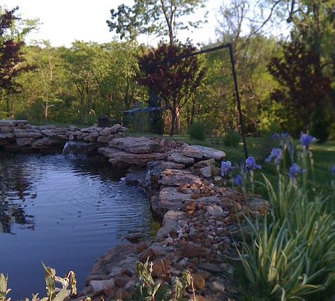 Decorative backyard pond