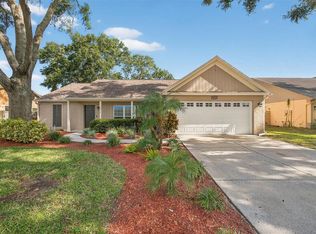 2410 Cedarcrest Pl, Valrico, FL 33596