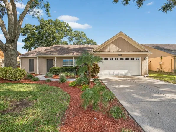 2410 Cedarcrest Pl, Valrico, FL 33596