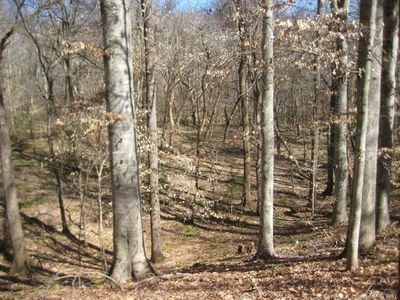 00 Landsford Rd, Catawba, SC, 29704