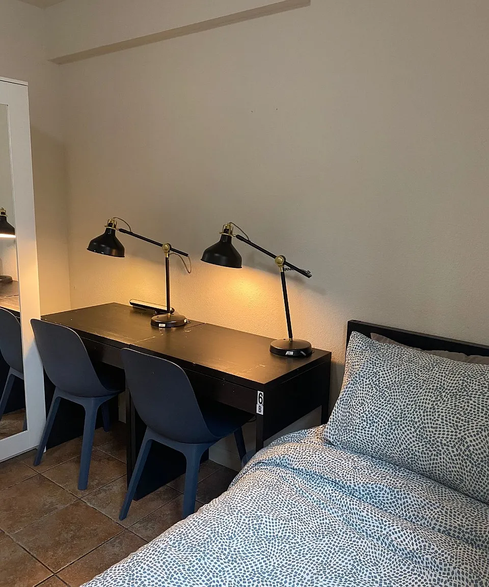 1 bed, $1,250 — Photo 4