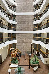 Rented by Triplemint