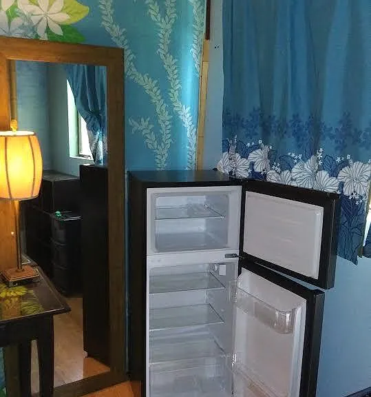 Wardrobe Mirror and newer Fridge/sm. Top Freezer.
