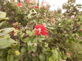 Lot 34, Ocean View, HI 96737