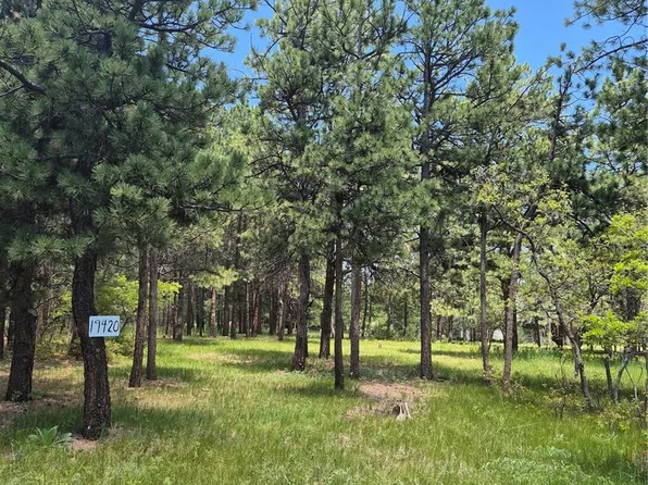 19420 Glen Cannon Way, Monument, CO 80132