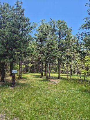 19420 Glen Cannon Way, Monument, CO 80132