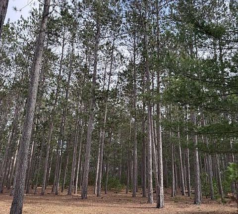 4th image of 22440 Eleven Mile Rd