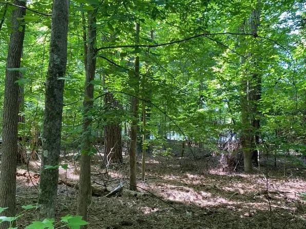 Lakeshore Subdivision Lot 85, Chappells, SC 29037