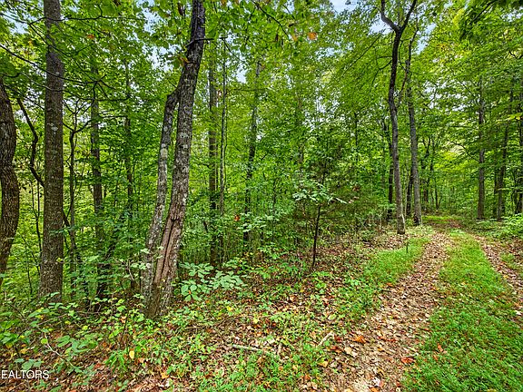4th image of 26 Timber Ridge Ln