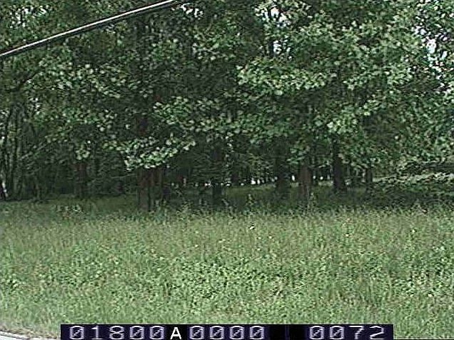 2nd image of 1211 Sydnor Rd
