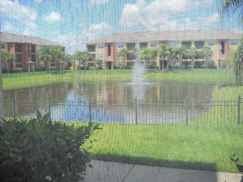 View from Screened Porch