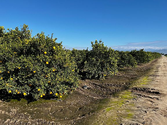 2nd image of 124 North Rd