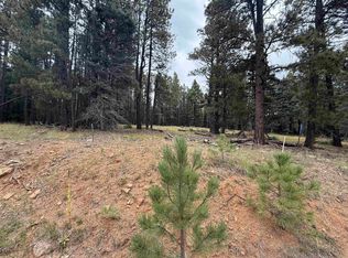 LOT 106 San Juan Dr, Angel Fire, NM 87710