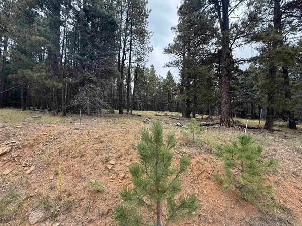 Lot 106 San Juan Dr, Angel Fire, NM 87710