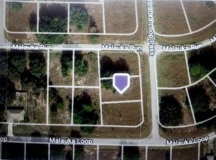 Malauka Loop Pass LOT 2, Ocklawaha, FL 32179