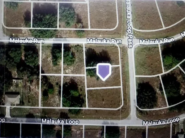 Malauka Loop Pass Lot 2, Ocklawaha, FL 32179