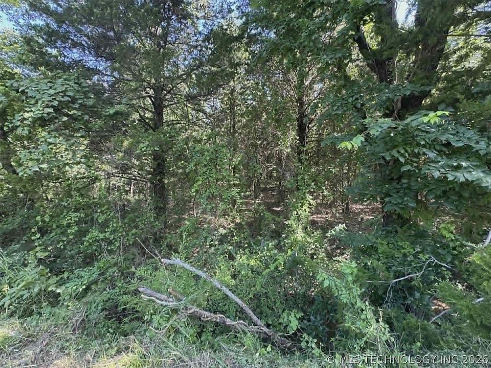 1st image of State Highway 31
